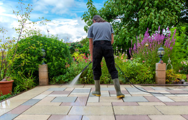 Best Soft Washing for Delicate Surfaces in Hoyt Lakes, MN